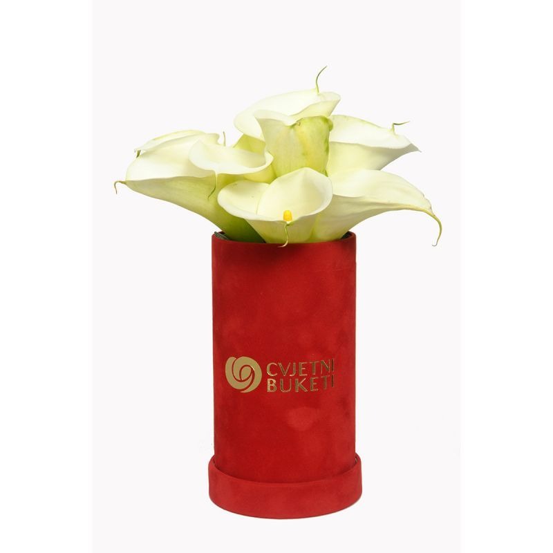 White Flower Box Cijena